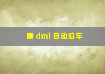 唐 dmi 自动泊车